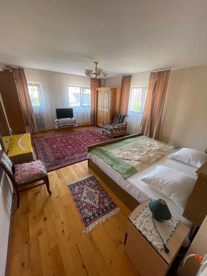 Pensiunea Cristiana Curtea de Argeş Extérieur photo