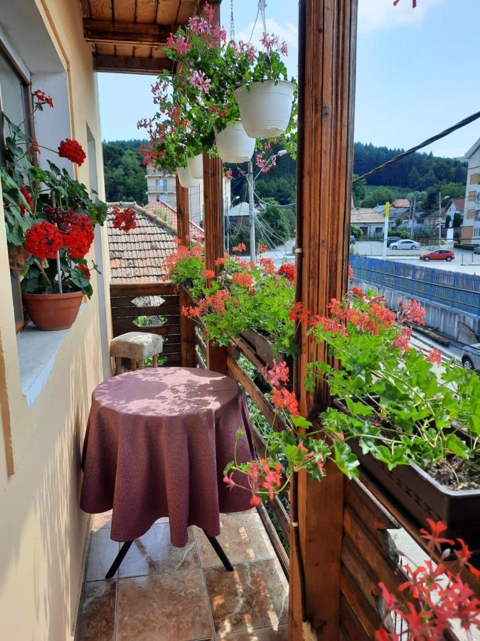 Pensiunea Cristiana Curtea de Argeş Extérieur photo