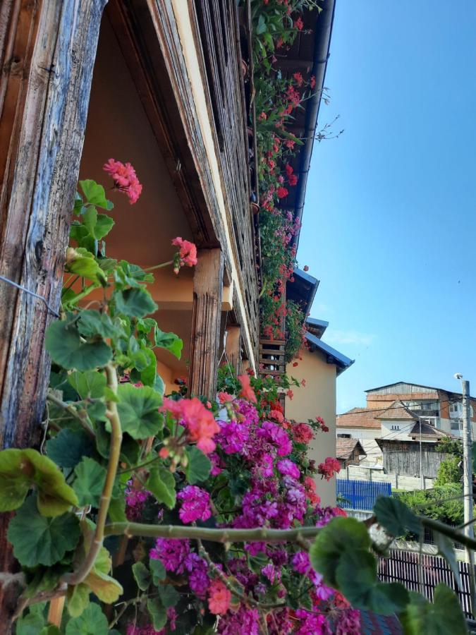 Pensiunea Cristiana Curtea de Argeş Extérieur photo