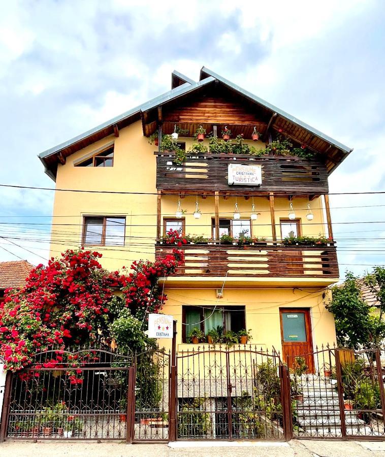 Pensiunea Cristiana Curtea de Argeş Extérieur photo