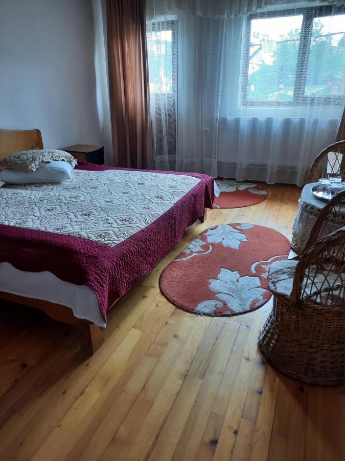 Pensiunea Cristiana Curtea de Argeş Extérieur photo
