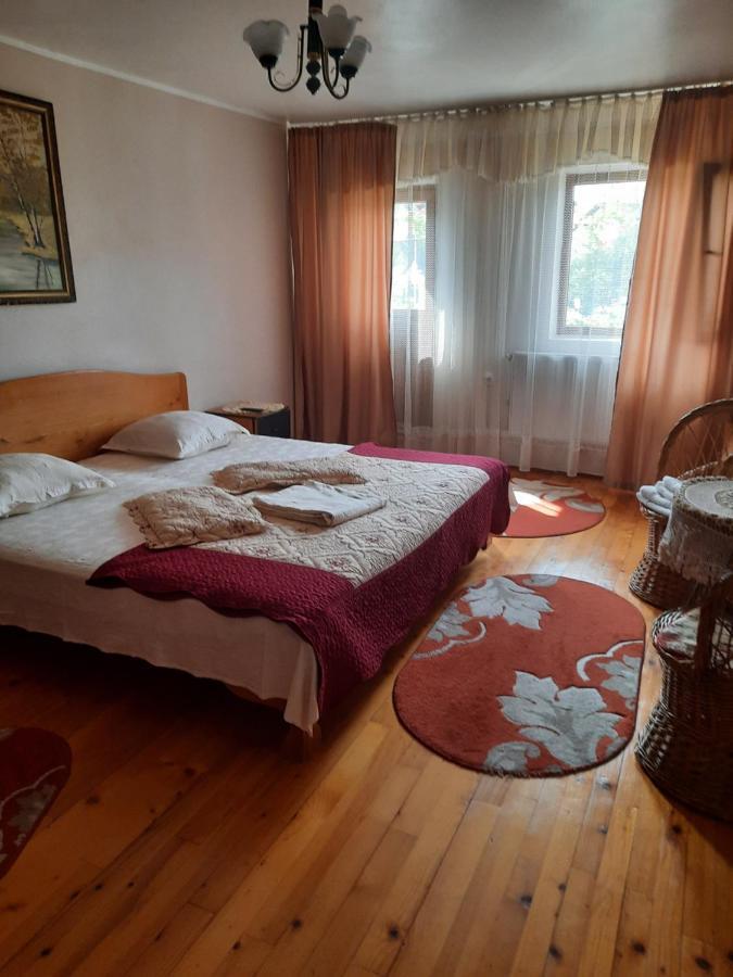 Pensiunea Cristiana Curtea de Argeş Extérieur photo