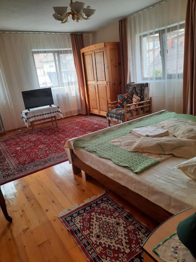 Pensiunea Cristiana Curtea de Argeş Extérieur photo