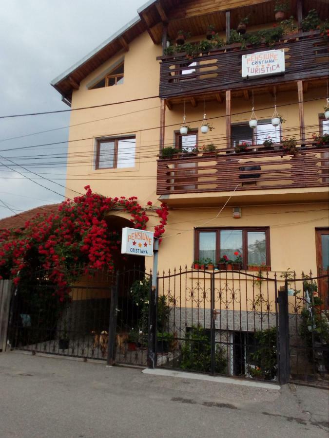 Pensiunea Cristiana Curtea de Argeş Extérieur photo