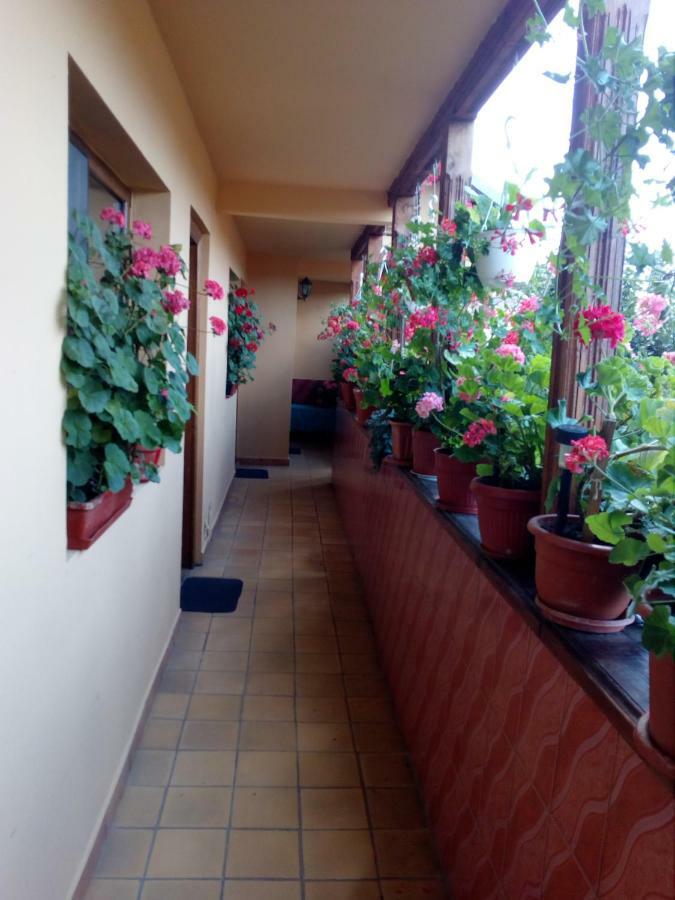 Pensiunea Cristiana Curtea de Argeş Extérieur photo
