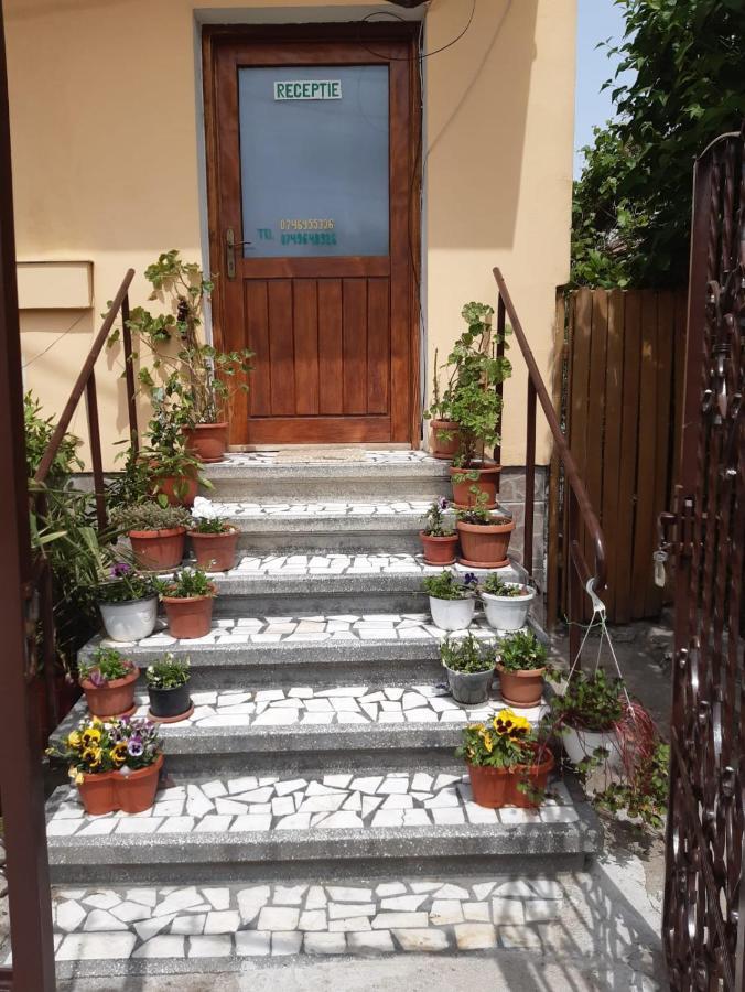 Pensiunea Cristiana Curtea de Argeş Extérieur photo
