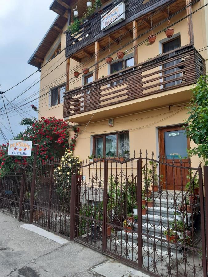 Pensiunea Cristiana Curtea de Argeş Extérieur photo
