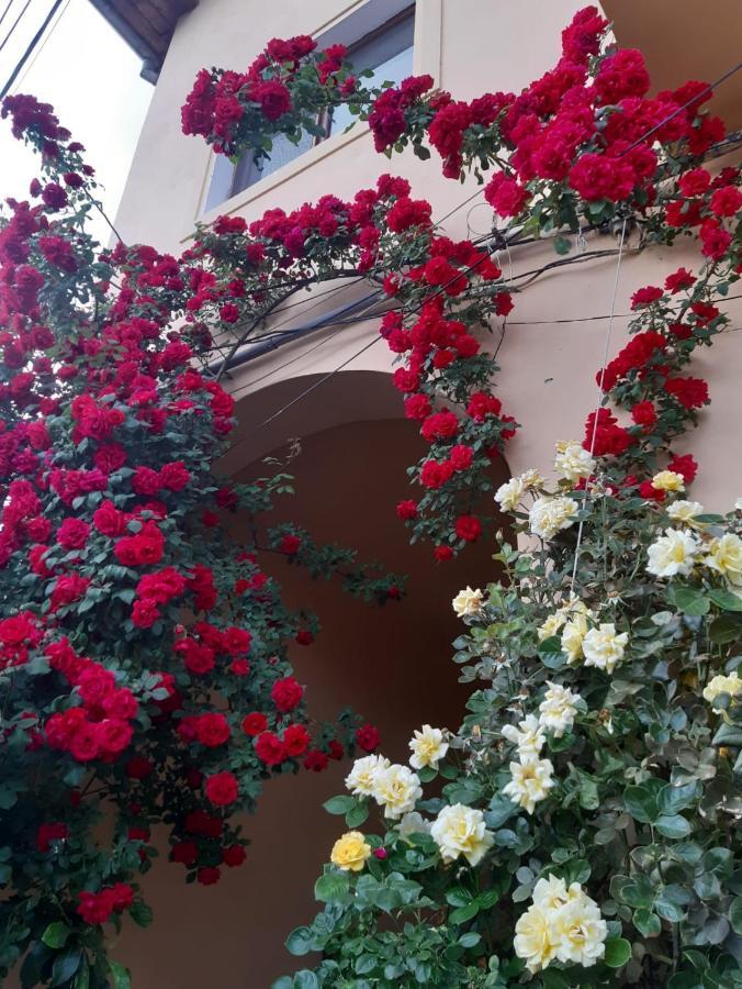 Pensiunea Cristiana Curtea de Argeş Extérieur photo