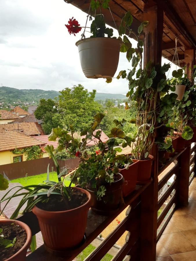 Pensiunea Cristiana Curtea de Argeş Extérieur photo