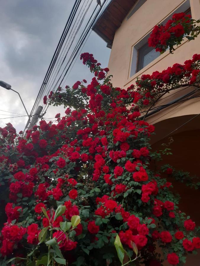 Pensiunea Cristiana Curtea de Argeş Extérieur photo